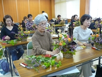 P1070545 P1070545