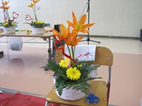 IMG_0525 IMG_0525